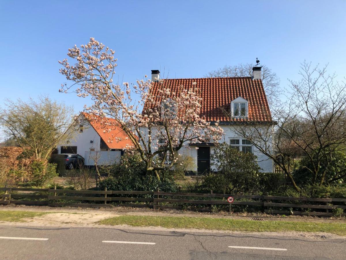 Horse And Hound Bed & Breakfast Riethoven Екстериор снимка