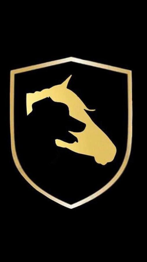 Horse And Hound Bed & Breakfast Riethoven Екстериор снимка