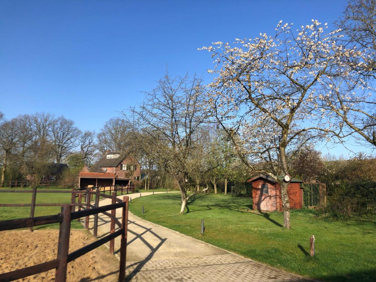 Horse And Hound Bed & Breakfast Riethoven Екстериор снимка
