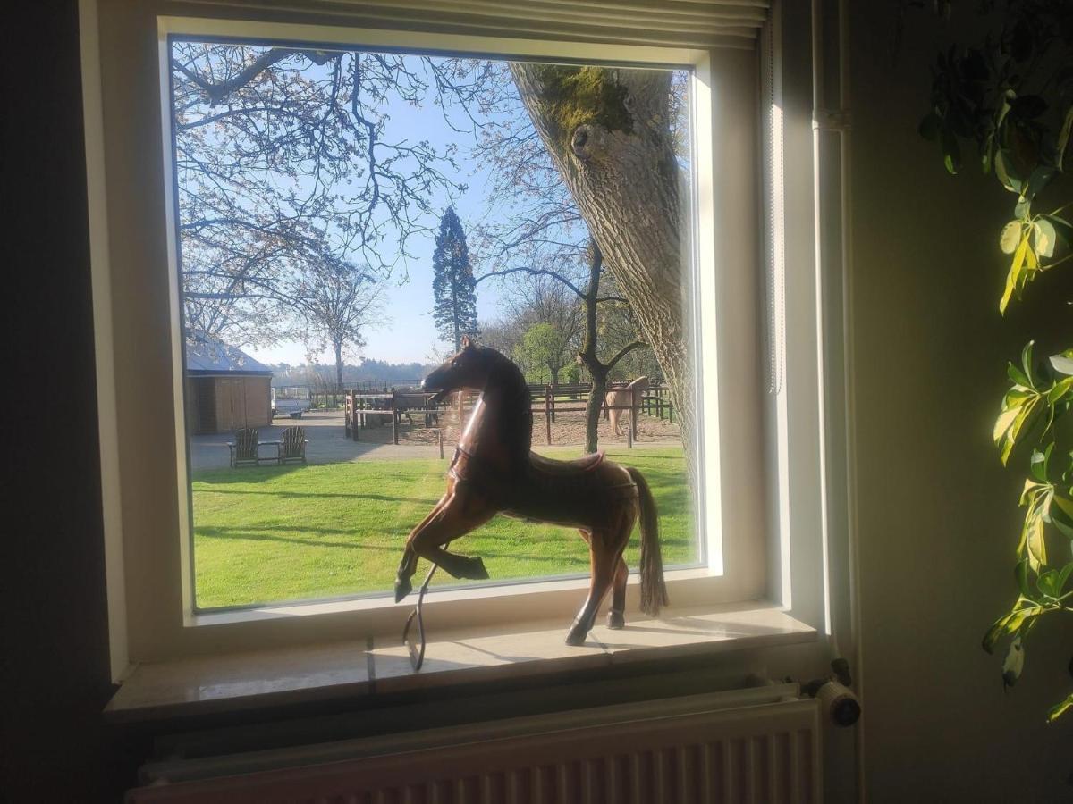 Horse And Hound Bed & Breakfast Riethoven Екстериор снимка