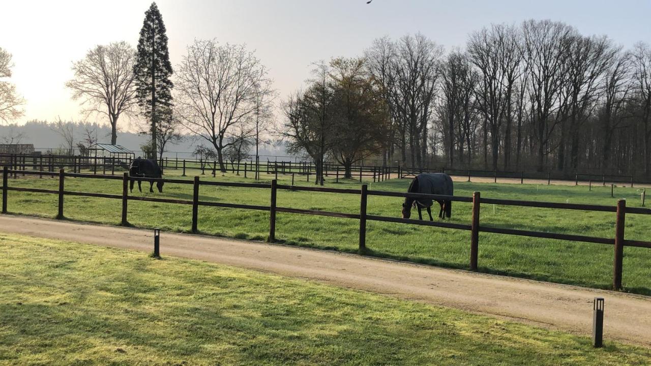 Horse And Hound Bed & Breakfast Riethoven Екстериор снимка